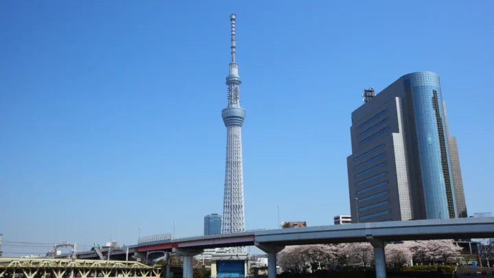 Ngắm toàn cảnh Tokyo từ Tokyo Skytree trong tour Tokyo Fuji 6N5Đ