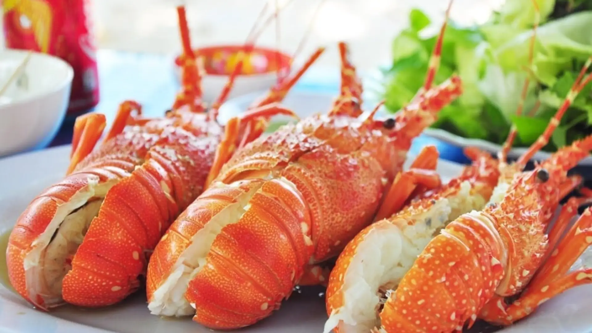 Tôm hùm tại Bãi Dứa Quy Nhơn