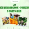 Tour Bangkok Pattaya từ TPHCM 2025 giá tốt – lịch trình 5 ngày 4 đêm