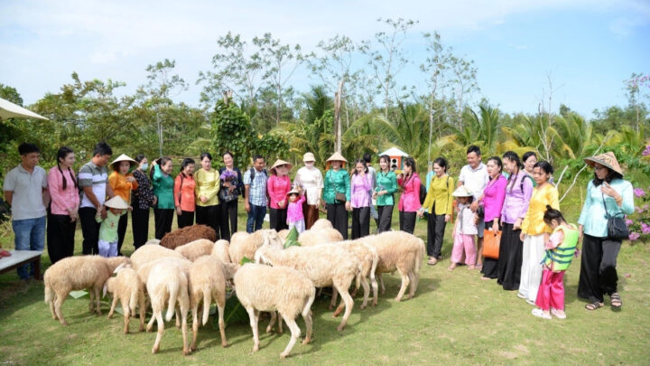 tour cà mau 3n2d từ sài gòn