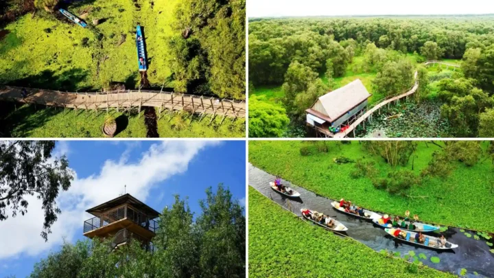 tour cần thơ an giang trải nghiệm tác ráng xuyên rừng tràm