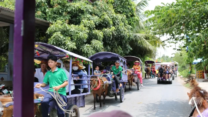 Trải nghiệm đi xe ngựa tour Cần Thơ Tiền Giang Bến Tre Nụ Cười Mê Kông
