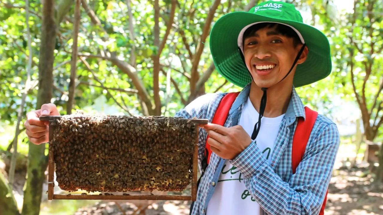 Tham quan trại nuôi ong tour Cần Thơ Tiền Giang Bến Tre 1 ngày