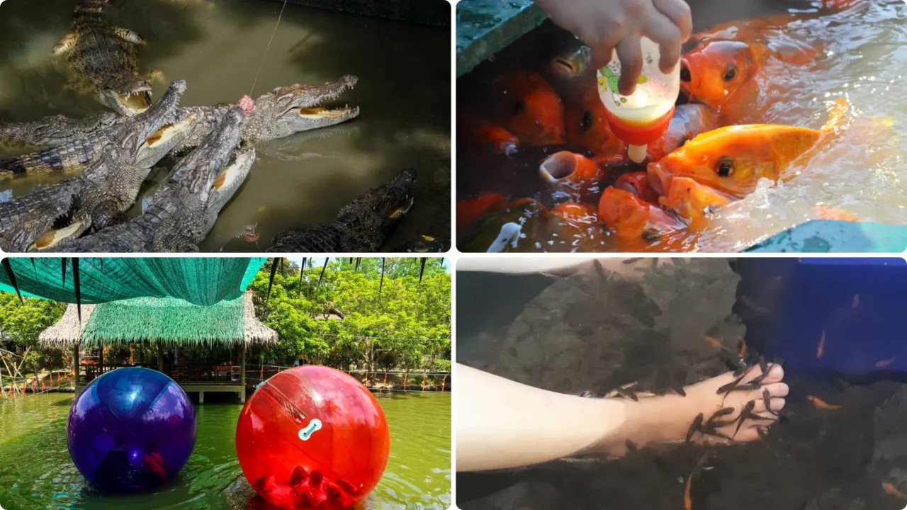Vui chơi ở Cồn Phụng tour Cần Thơ Tiền Giang Bến Tre Nụ Cười Mê Kông