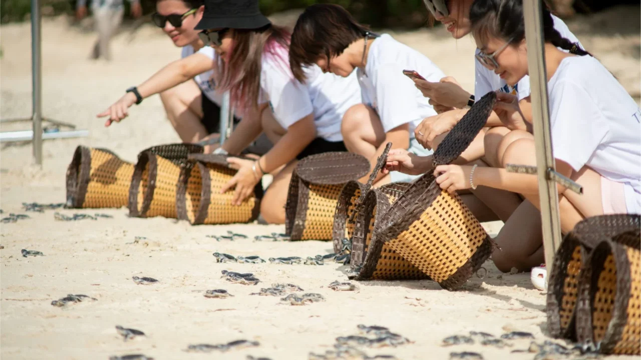 tour-con-dao-2-ngay-1-dem-nu-cuoi-me-kong-hoat-dong-tha-rua