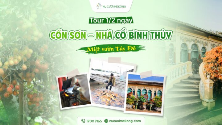 tour cồn sơn nhà cổ bình thuỷ