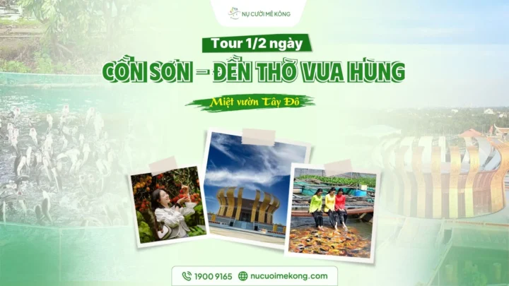 tour cồn sơn nửa ngày