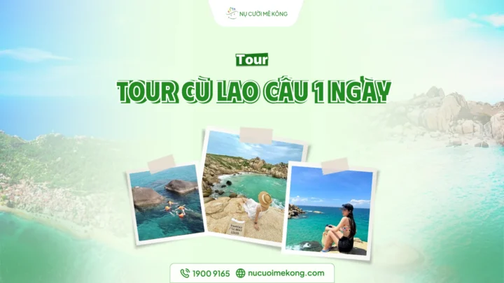 Tour Cù Lao Câu 1 ngày lặn ngắm san hô và chèo SUP giá tốt