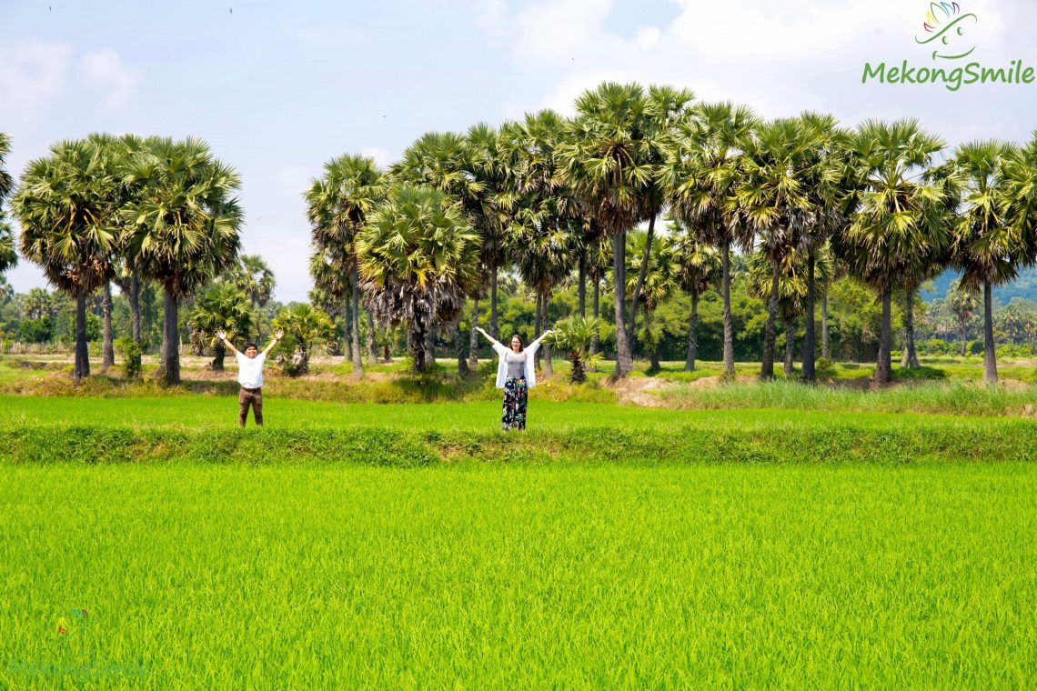 Tour đi Châu Đốc 1 ngày - Check-in cánh đồng thốt nốt tuyệt đẹp ở An Giang