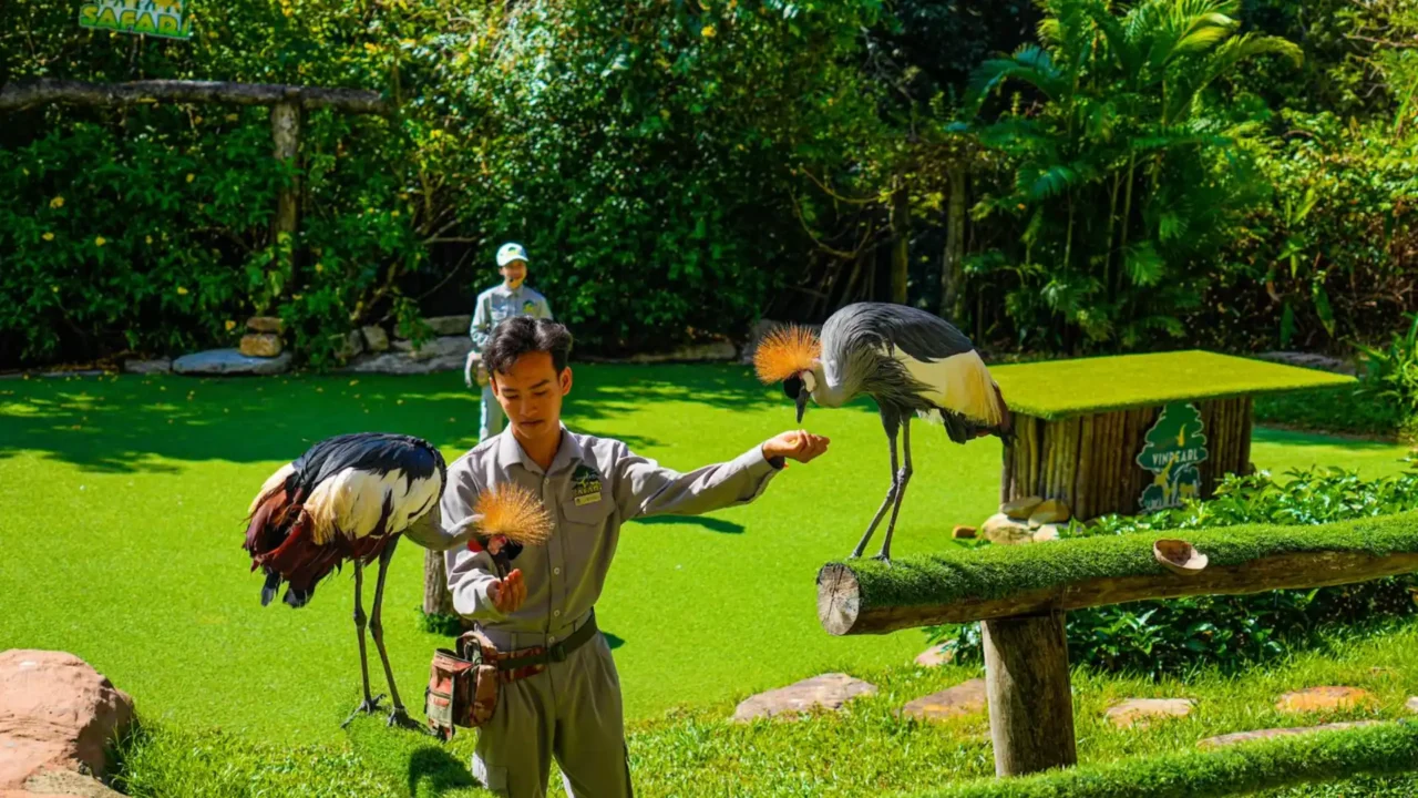 tour-du-lich-phu-quoc-nu-cuoi-me-kong-bieu-dien-thu