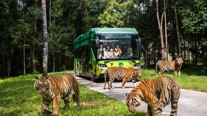 tour-du-lich-phu-quoc-nu-cuoi-me-kong-safari-phu-quoc