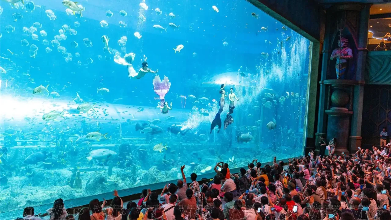 tour-du-lich-phu-quoc-nu-cuoi-me-kong-show-nang-tien-ca