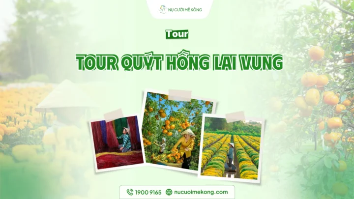 Tour du lịch vườn quýt hồng Lai Vung Sa Đéc 1 ngày từ Cần Thơ