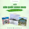 Tour Hàn Quốc Seoul 5 ngày 4 đêm đảo Nami Everland