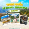 Tour Lệ Giang Shangrila 5 ngày 4 đêm - cổ trấn và núi tuyết Ngọc Long