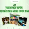 Tour Miệt vườn Cồn Sơn rộn ràng lễ hội sông nước 1 ngày