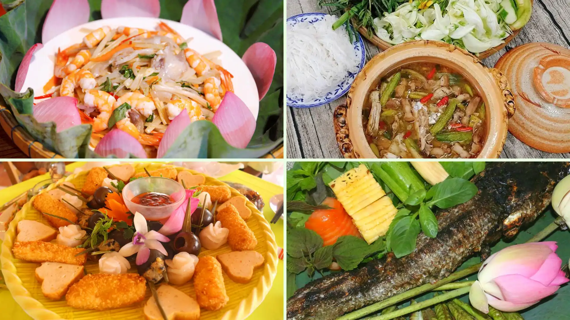 Tour du lịch vườn quýt hồng Lai Vung thưởng thức ẩm thực Đồng Tháp