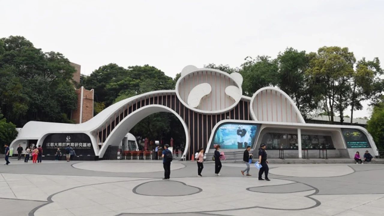 tour-thanh-do-trung-quoc-nu-cuoi-me-kong-co-so-nghien-cuu-va-nhan-giong-gau-truc-khong-lo-thanh-do