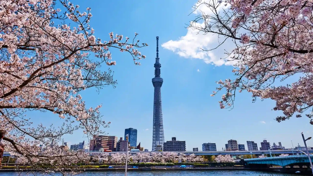 Tour Tokyo ngắm tháp truyền hình Tokyo Sky Tree cao 634m niềm tự hào Nhật Bản