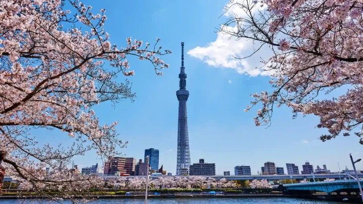 Tour Tokyo ngắm tháp truyền hình Tokyo Sky Tree cao 634m niềm tự hào Nhật Bản