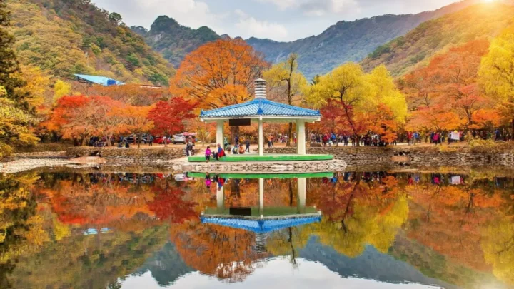 Trải nghiệm trọn vẹn từ cổ kính đến hiện đại trong lòng Seoul