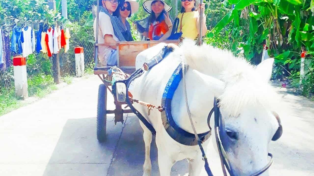 Trải nghiệm đi xe ngựa đầy thú vị - Tour miền Tây 3 ngày 2 đêm từ Sài Gòn