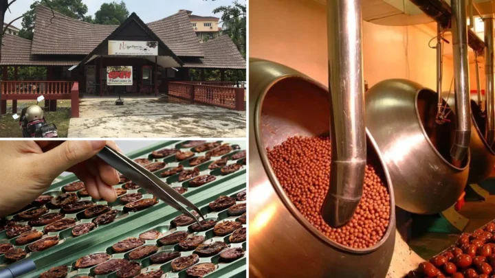 Trải nghiệm tham quan nhà máy chocolate tại Malaysia với quy trình sản xuất thủ công