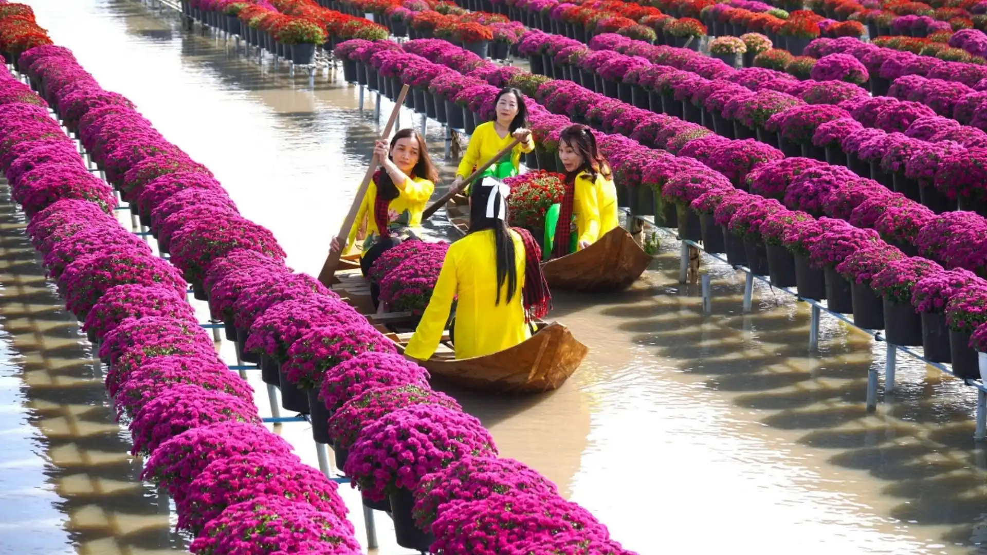 Show diễn thực cảnh "Trăm năm hương sắc làng hoa"