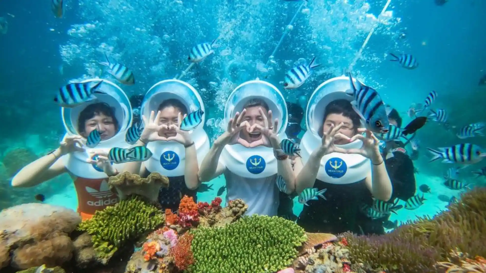 Trải nghiệm đi bộ dưới đáy biển tại Vịnh San Hô