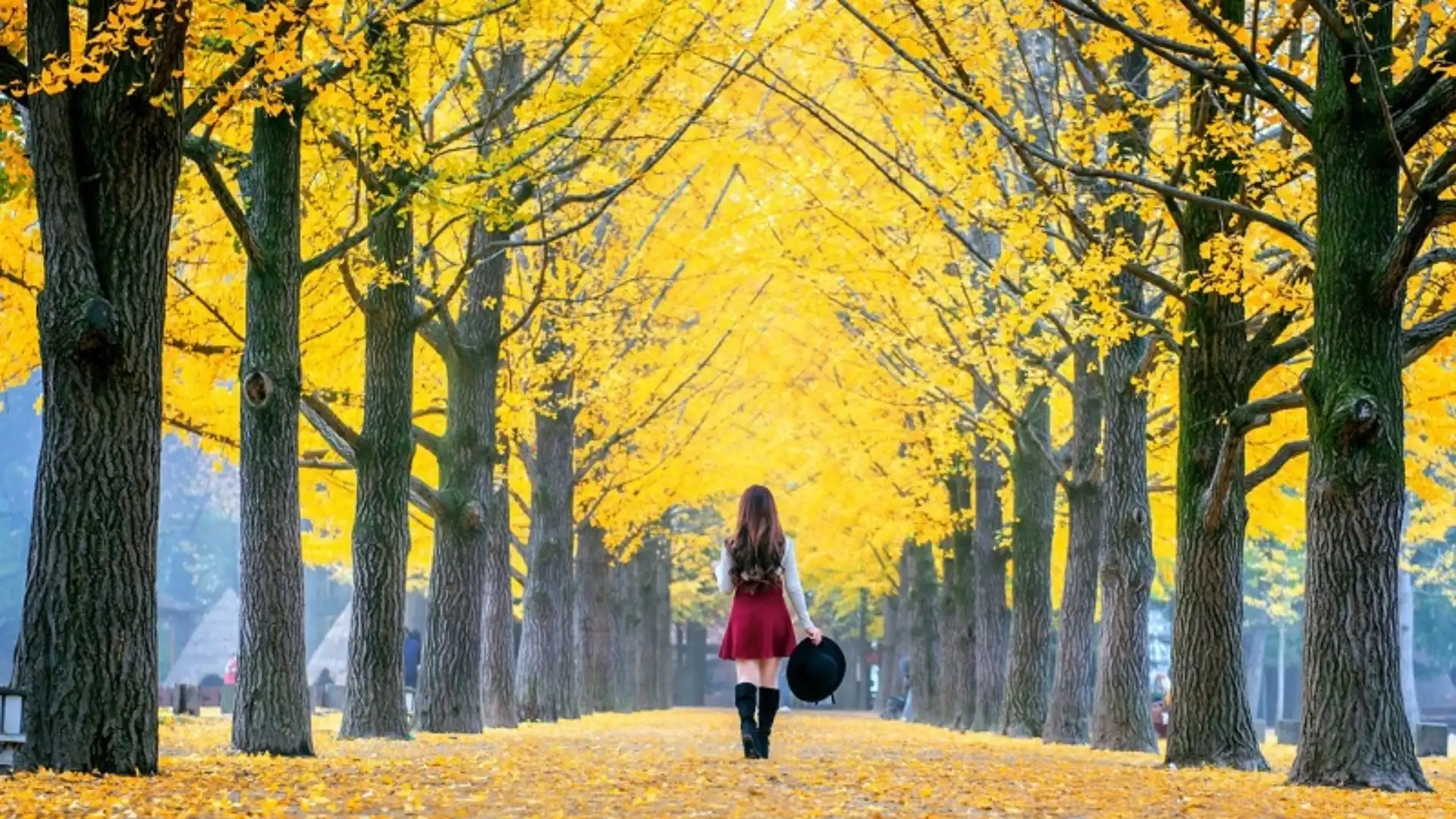 Chọn trang phục thoải mái để dễ di chuyển đến đảo Nami
