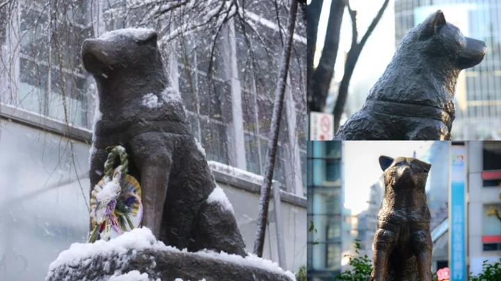 Tượng chú chó Hachiko tại Nhật
