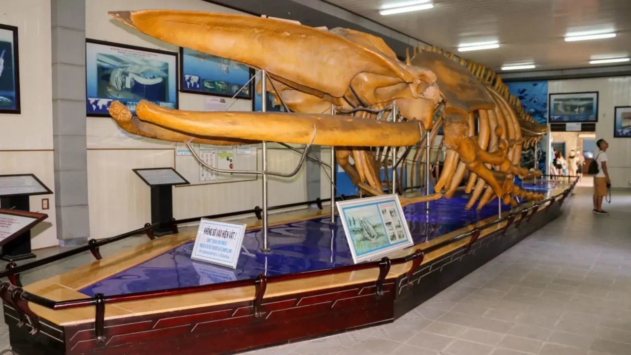 vien-hai-duong-hoc-tour-nha-trang-4-ngay-3-dem