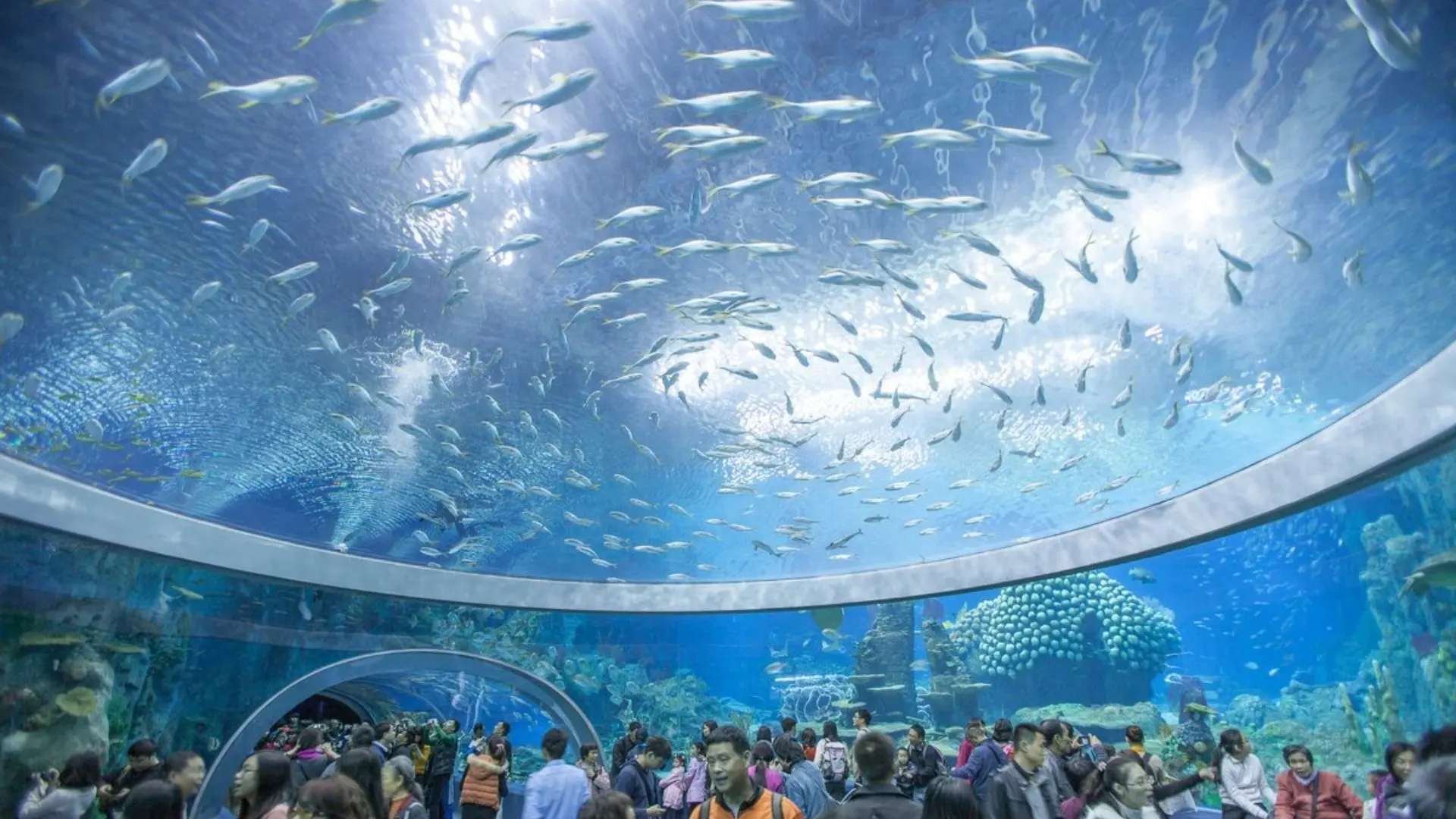 Tham quan Viện Hải dương học Nha Trang