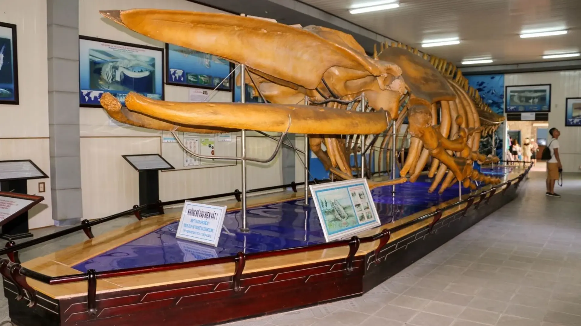 Tour Nha Trang 4 ngày 3 đêm – Lịch trình trọn gói vien-hai-duong-hoc-tour-nha-trang-4-ngay-3-dem