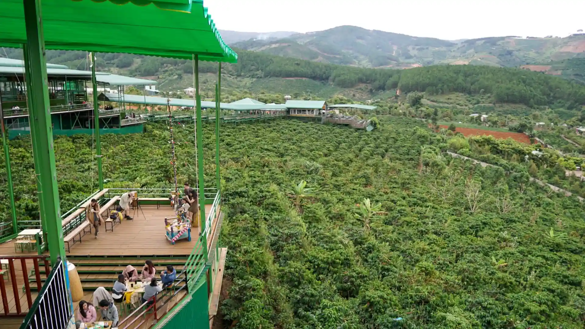 Vườn cà phê xanh mướt nhìn từ quán Cà phê Mê Linh