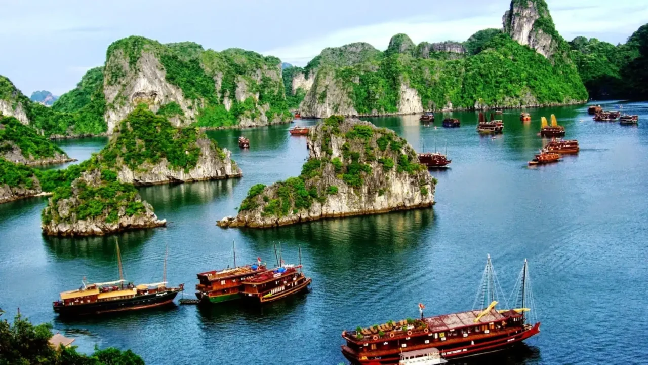 đi dạo bằng du thuyền tại vịnh hạ long