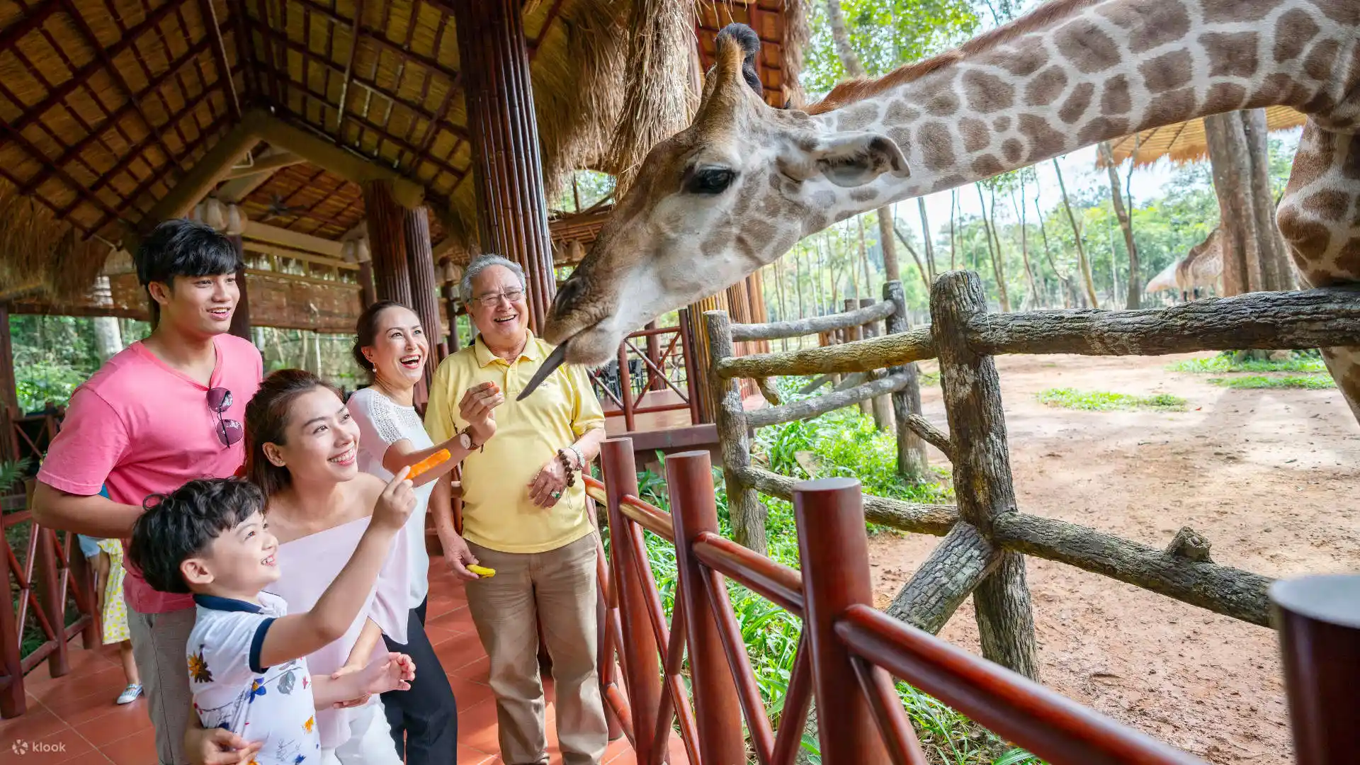 Cho thú ăn tại Vinpearl Safari Phú Quốc 