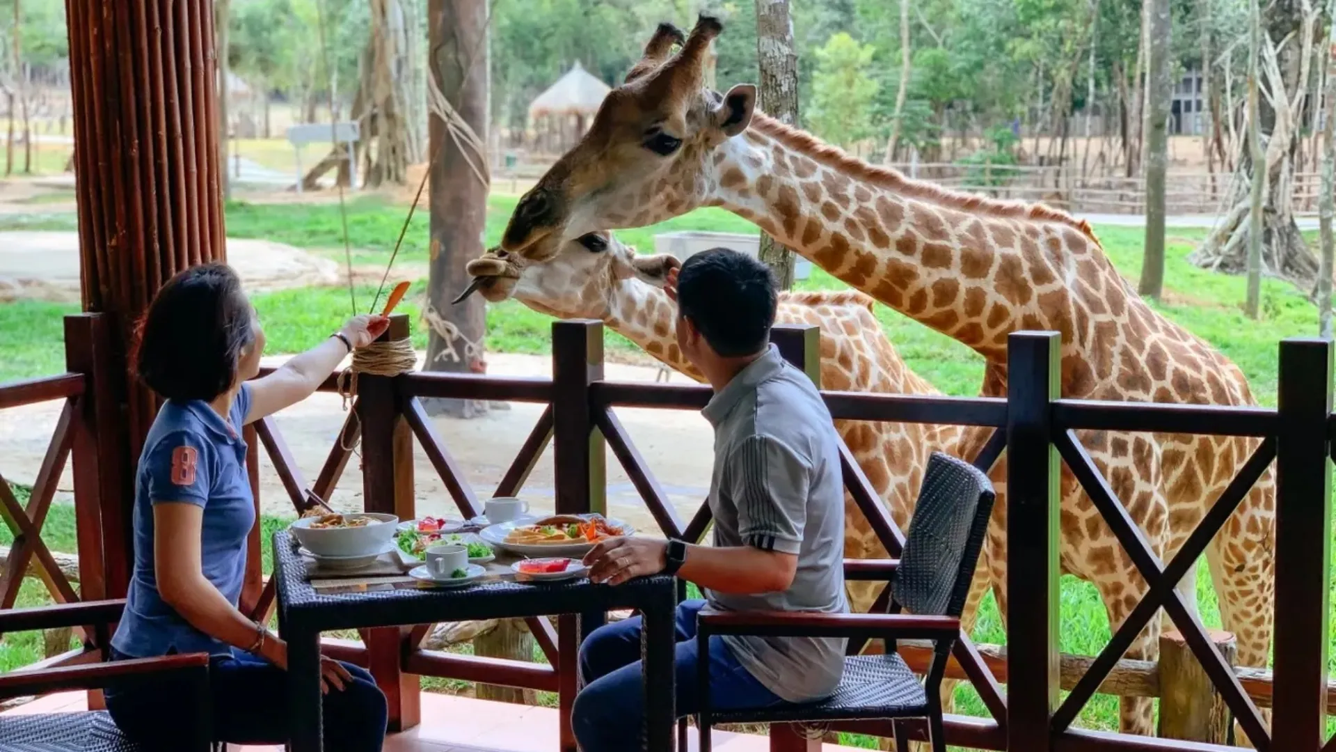 Nhà hàng Giraffe tại Vinpearl Safari Phú Quốc 
