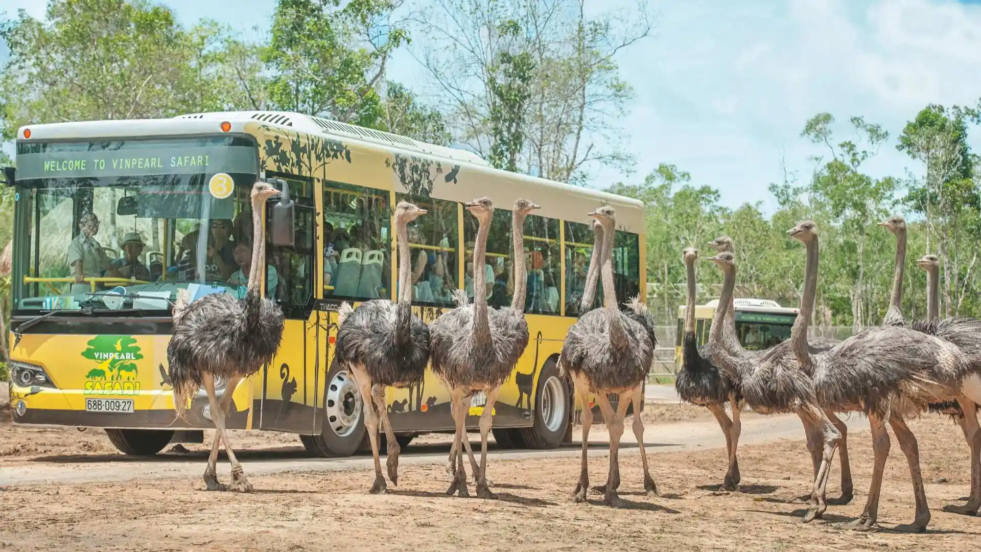 Khu nhốt người thả thú Vinpearl Safari Phú Quốc 