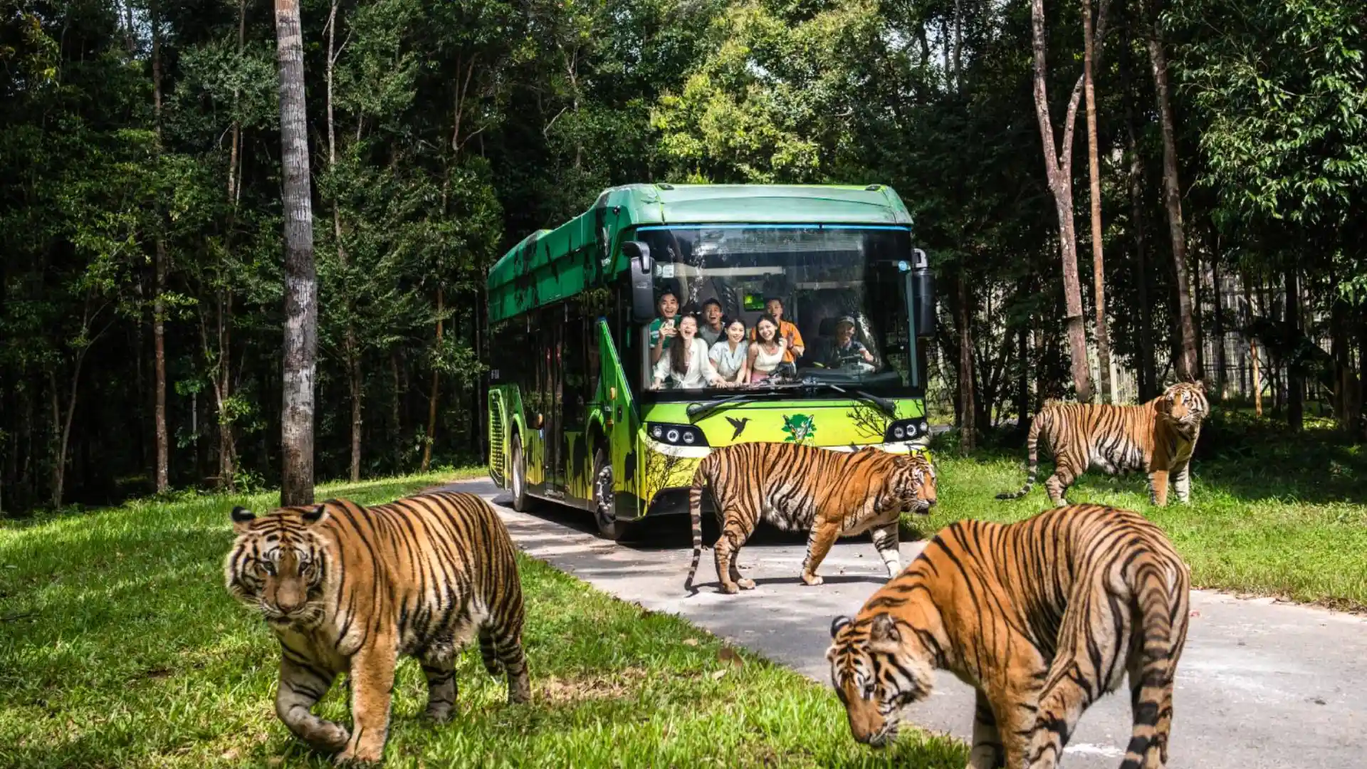 Open Zoo Vinpearl Safari Phú Quốc 