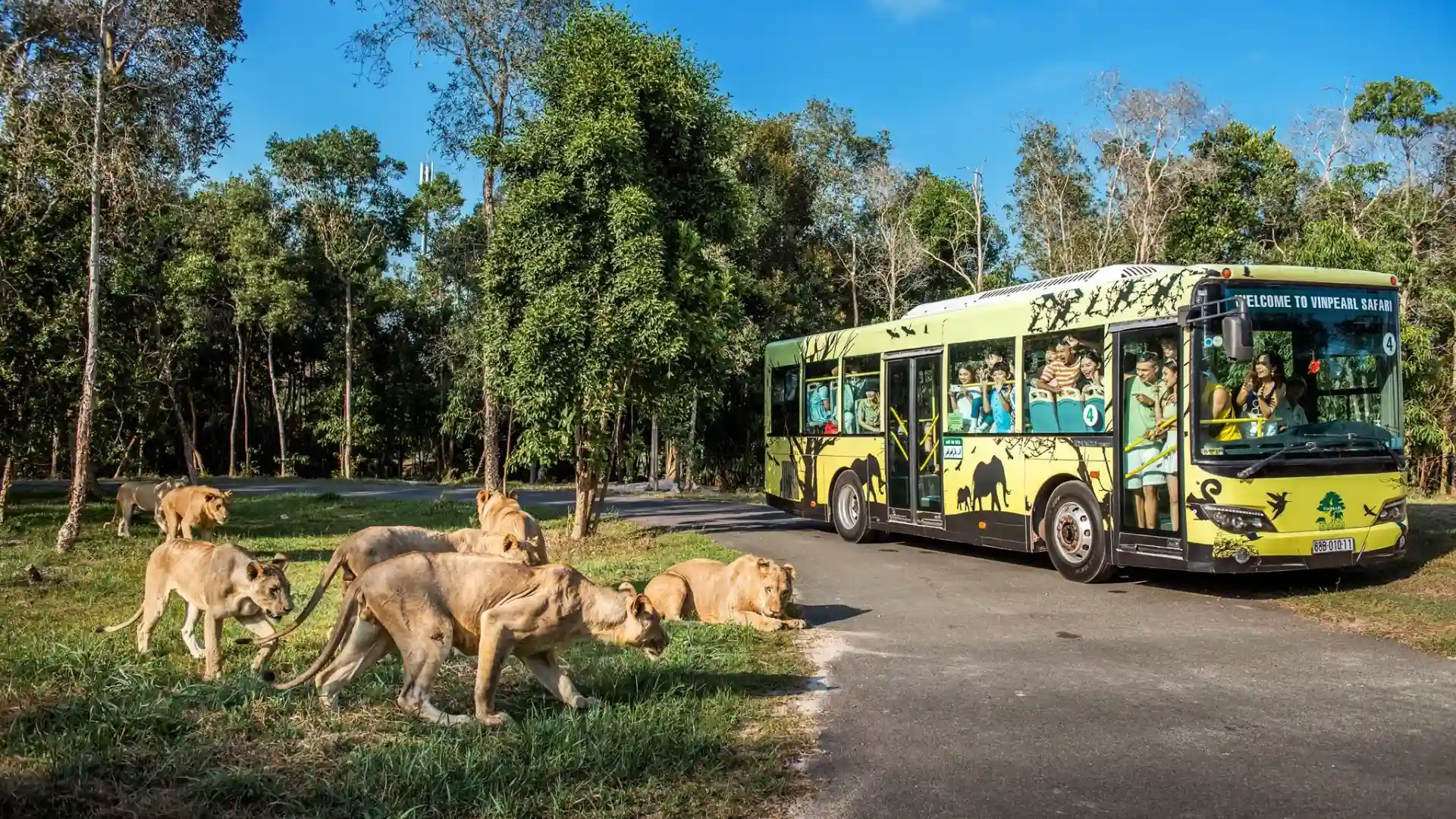 Khu Safari Park tại Vinpearl Safari Phú Quốc