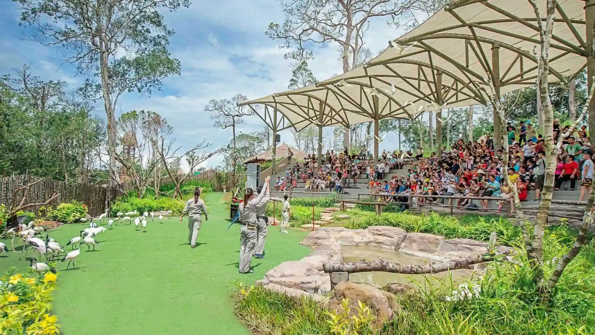 Show diễn thú đặc sắc tại Vinpearl Safari Phú Quốc
