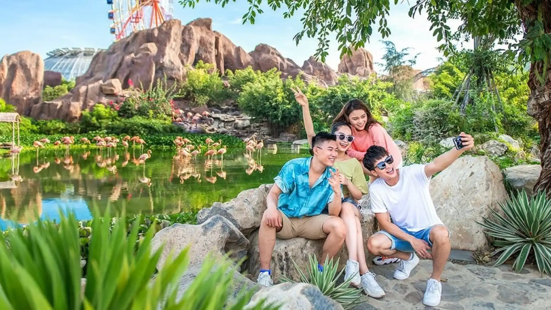 Ngắm chim Hồng Hạc tại King’s Garden Vinwonders Nha Trang