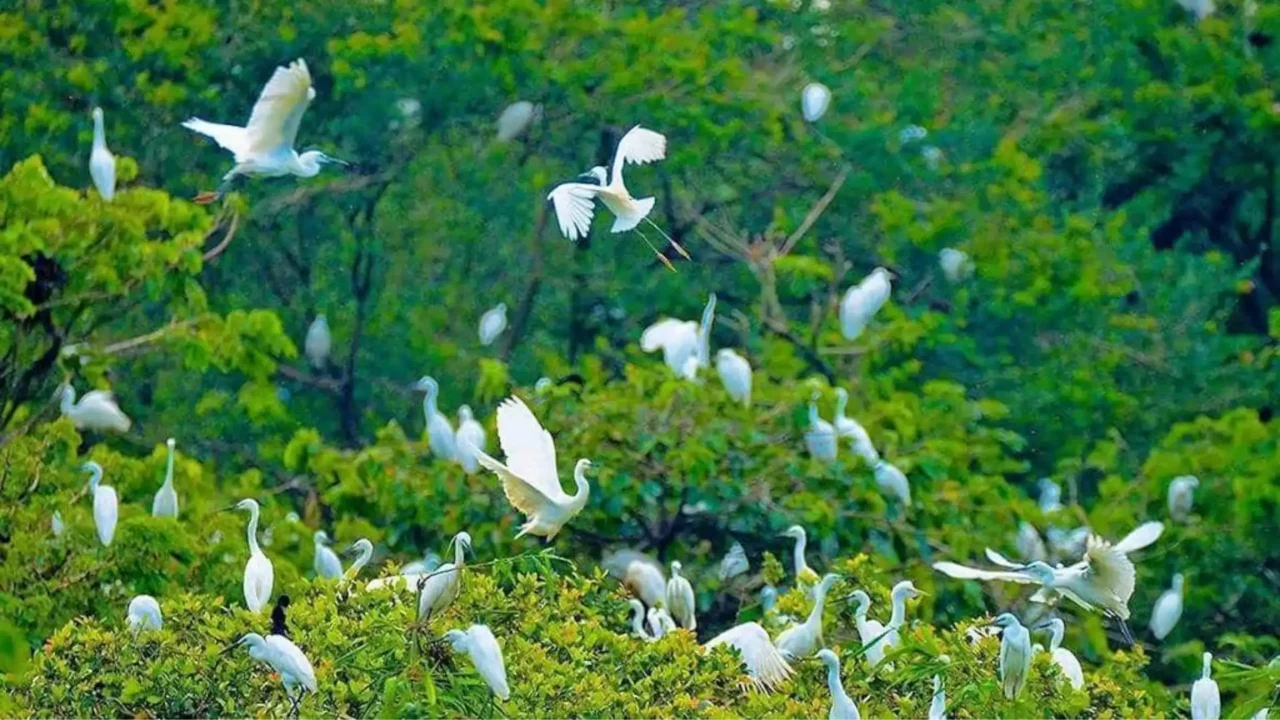 Nụ Cười Mê Kông