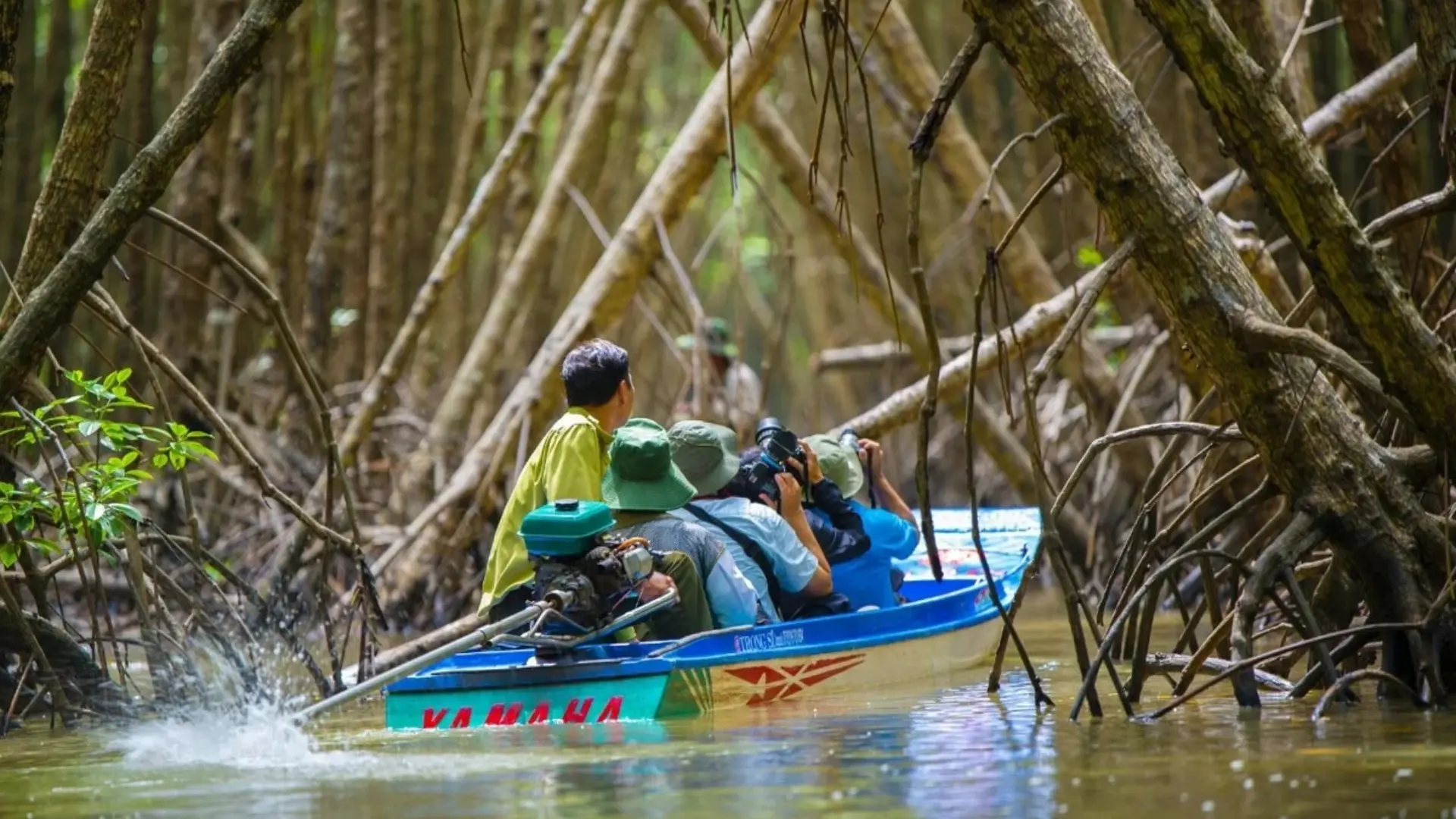 Vườn quốc gia Mũi Cà Mau