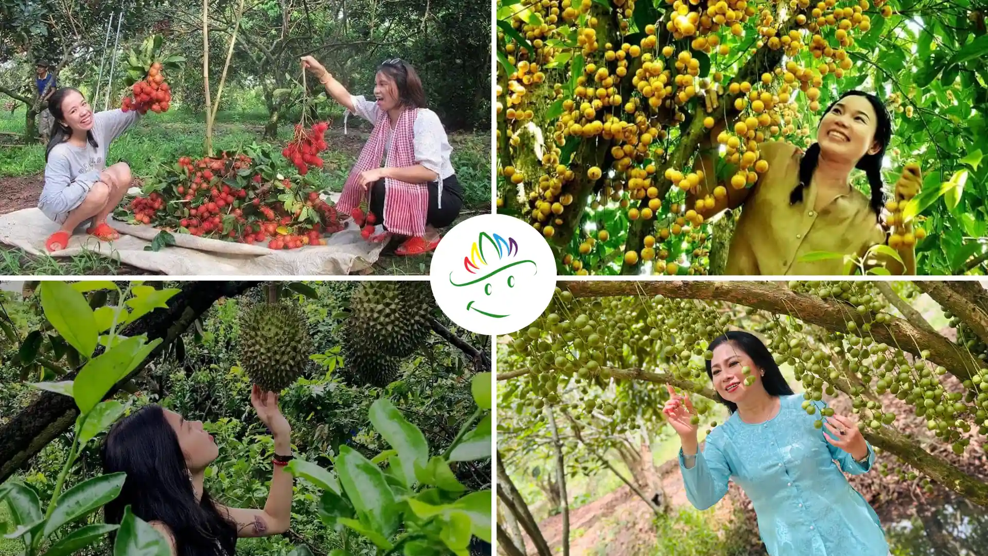 Vườn trái cây nổi tiếng Cần Thơ – kinh nghiệm du lịch Cần Thơ miệt vườn