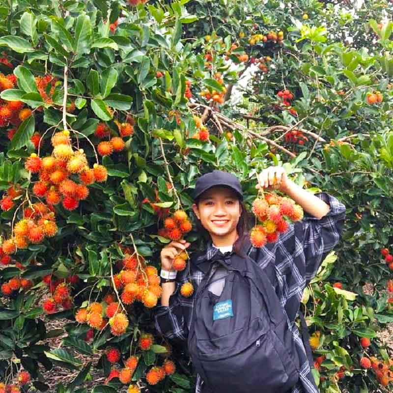 Check-in vườn trái cây Vĩnh Kim mùa chôm chôm