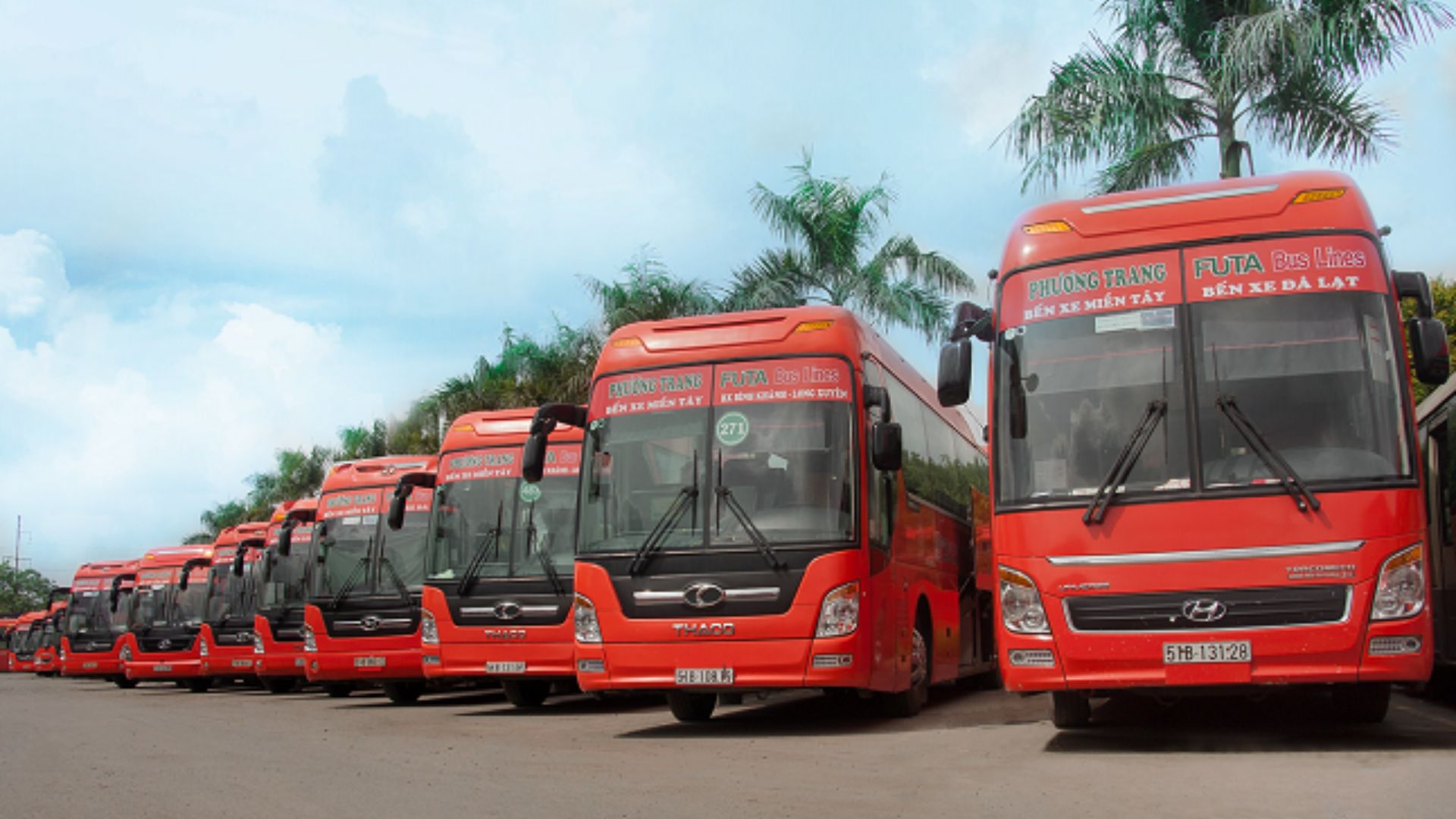 Xe khách di chuyển đến cánh đồng thốt nốt từ các tỉnh và thành phố