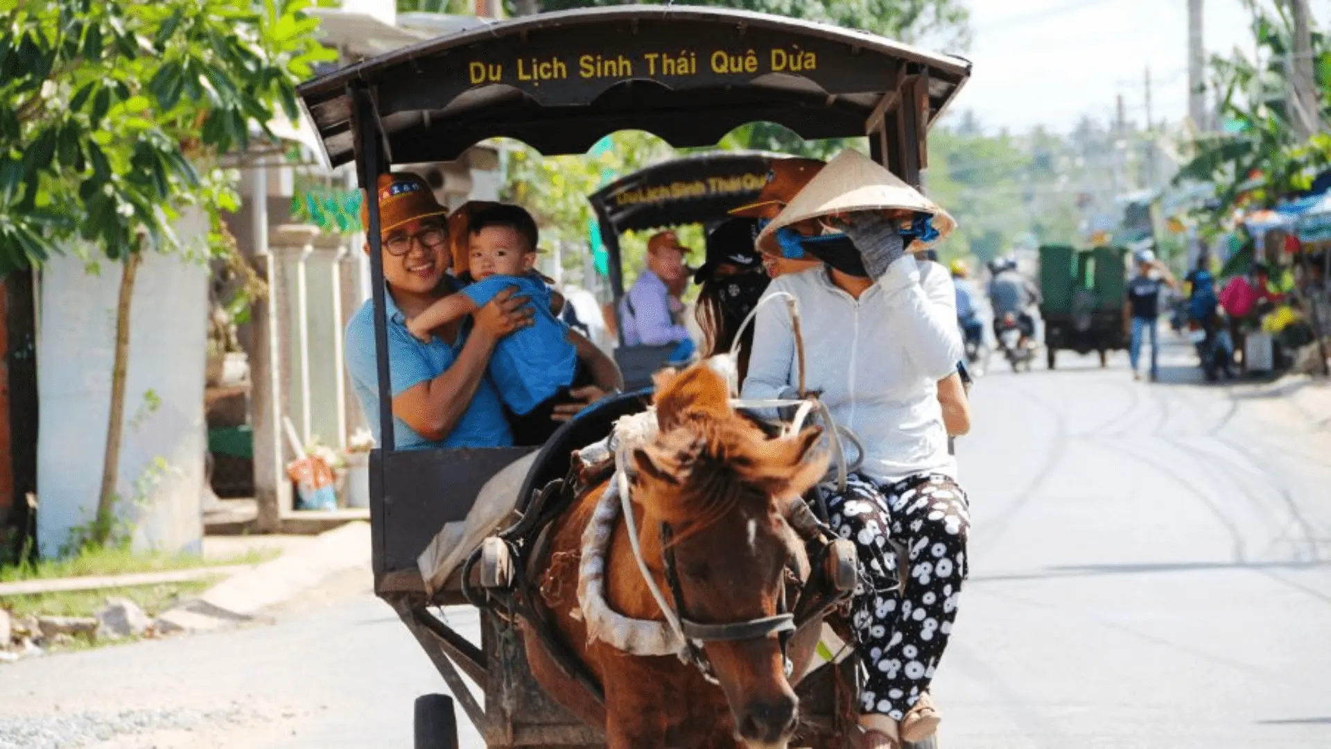trải nghiệm đi xe ngựa trên đường làng bến tre